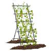 74 Inch Tall Garden Trellis for Flower Vine Vegetable Fruit Pea - Black