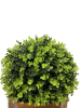 24" Ball Topiary in Redwood Pot, Artificial Faux Plant for indoor and outdoor - as Pic