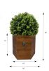 24" Ball Topiary in Redwood Pot, Artificial Faux Plant for indoor and outdoor - as Pic