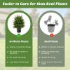 2-Pack Artificial Cedar Topiary Ball Tree with Cement Pot - Green