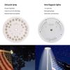 42 LED Solar Flagpole