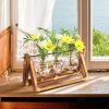 mothers day gifts-Desktop Glass Planter Bulb Plant Terrarium with Wooden Stand - Wood