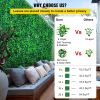 VEVOR Artificial Boxwood Grass Backdrop Panels