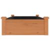 Garden Raised Bed with Liner Brown 47.2"x23.6"x9.8" Solid Wood Fir - Brown