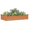 Garden Raised Bed with Liner Brown 47.2"x23.6"x9.8" Solid Wood Fir - Brown