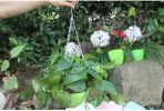 Self-Watering Pot with Drainer Indoor Outdoor Hanging Planter - Green