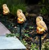 Solar Owl Garden Light Owl Solar Lamp Parrot Lawn Light Solar Lights Outdoor Solar Light Animal Pixie Lawn Lamp Waterproof Decor - Brown - China