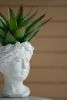 Greek Style Cement Head Planter - Indoor Outdoor Home Garden Decor, D6" x 9" - as Pic